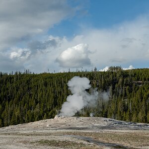 DSC_1979.jpg