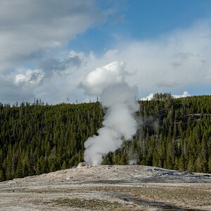 DSC_1981.jpg