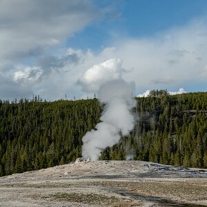DSC_1982.jpg