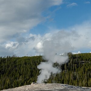 DSC_1983.jpg