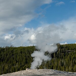 DSC_1984.jpg