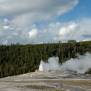 DSC_1989.jpg