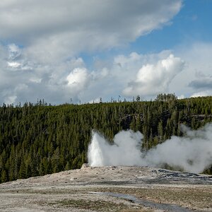DSC_1991.jpg