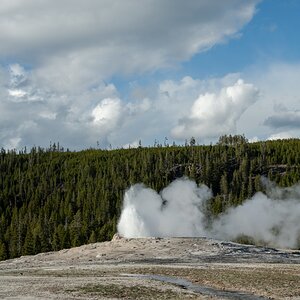 DSC_1994.jpg