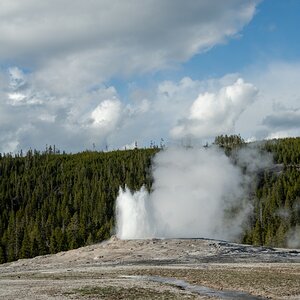 DSC_1995.jpg