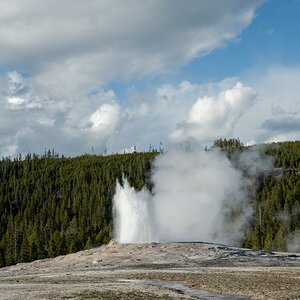 DSC_1996.jpg