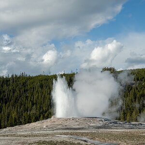 DSC_1997.jpg