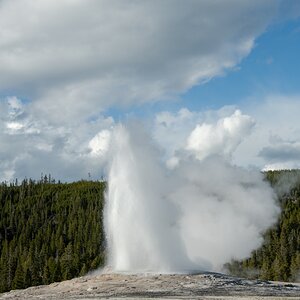 DSC_2005.jpg