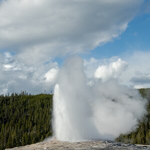 DSC_2009.jpg