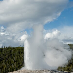 DSC_2012.jpg