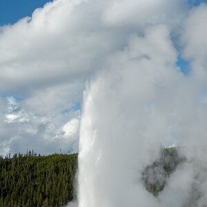 DSC_2023.jpg
