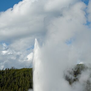 DSC_2024.jpg