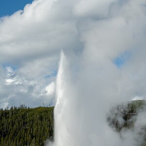 DSC_2025.jpg