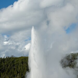 DSC_2026.jpg