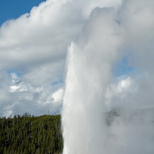 DSC_2031.jpg