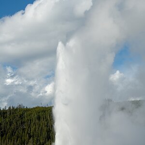 DSC_2032.jpg