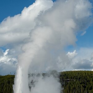 DSC_2042.jpg