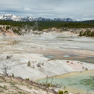 DSC_2120.jpg