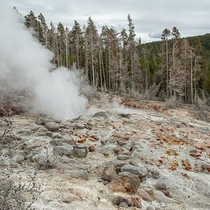 DSC_2145.jpg