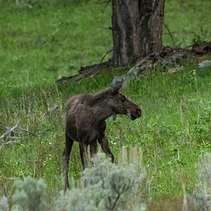 DSC_2324.jpg