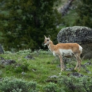 DSC_2510.jpg