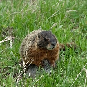 DSC_2702.jpg