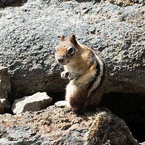 DSC_2836.jpg
