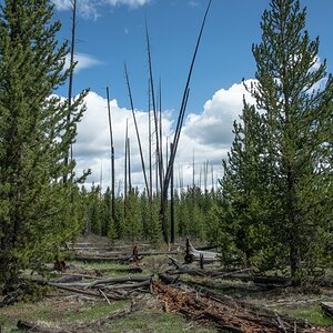 DSC_2851.jpg