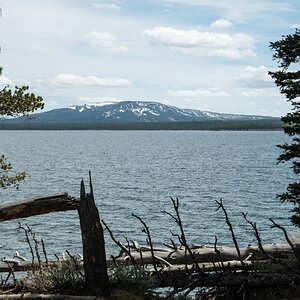 DSC_2867.jpg