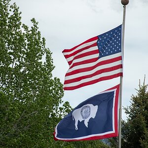 DSC_2988.jpg