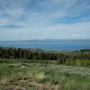 DSC_2994.jpg