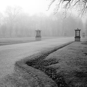 DSC_1410.jpeg