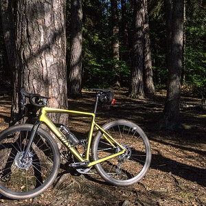 Graveln im Wald