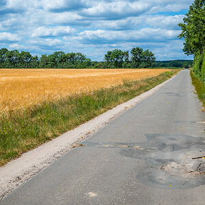 Country Road 1-1.jpg
