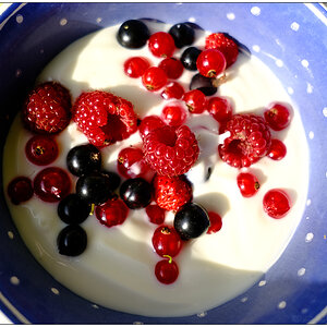 294 In der Bünte – Joghurt mit frisch gepflückten Beeren