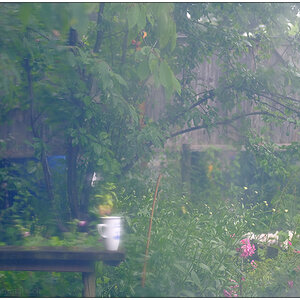 302 In der Bünte – Regensonntag mit neuem Scheibenobjektiv ;-) II