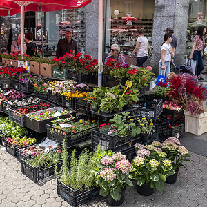 Zagreb shopping 2.jpg