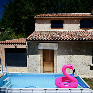 Flamingo.JPG