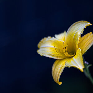 Z6H_0903.jpg