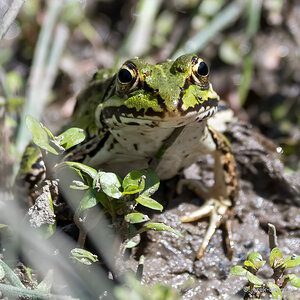 20220712-D50_9979-Bearbeitet.jpg