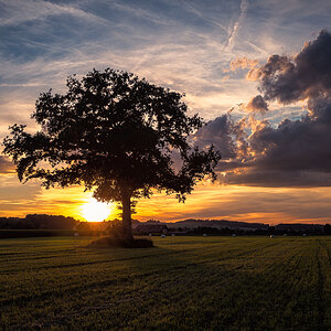 20220709210334-_A854181-Bearbeitet.jpg