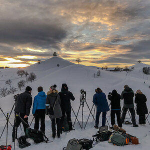 IMG_1904_NF.jpg