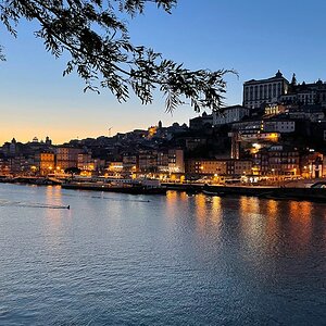 Porto Ribeira NFF.jpg