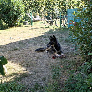 DFX_4835-001.jpg