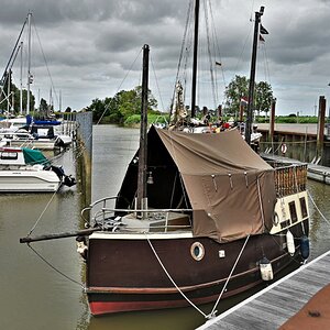 DSC_4526 .jpg