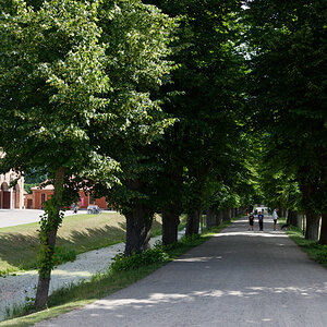 KSW_7270.jpg