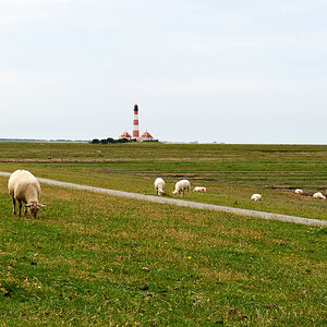 _DSC5270.jpg