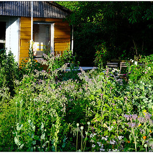 307 In der Bünte – Blumenbeet mit Gartenhütte