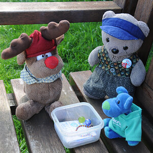 Albert, Daniel und Snuttig beim Geocachen