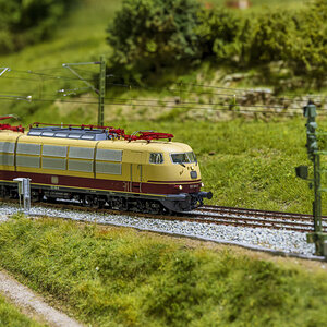 _Z7F1792-.JPG